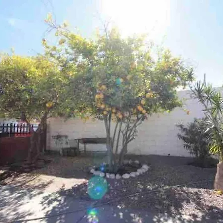 Departamento 'El Bello' En Palapa Ochoa Loreto  Exterior photo