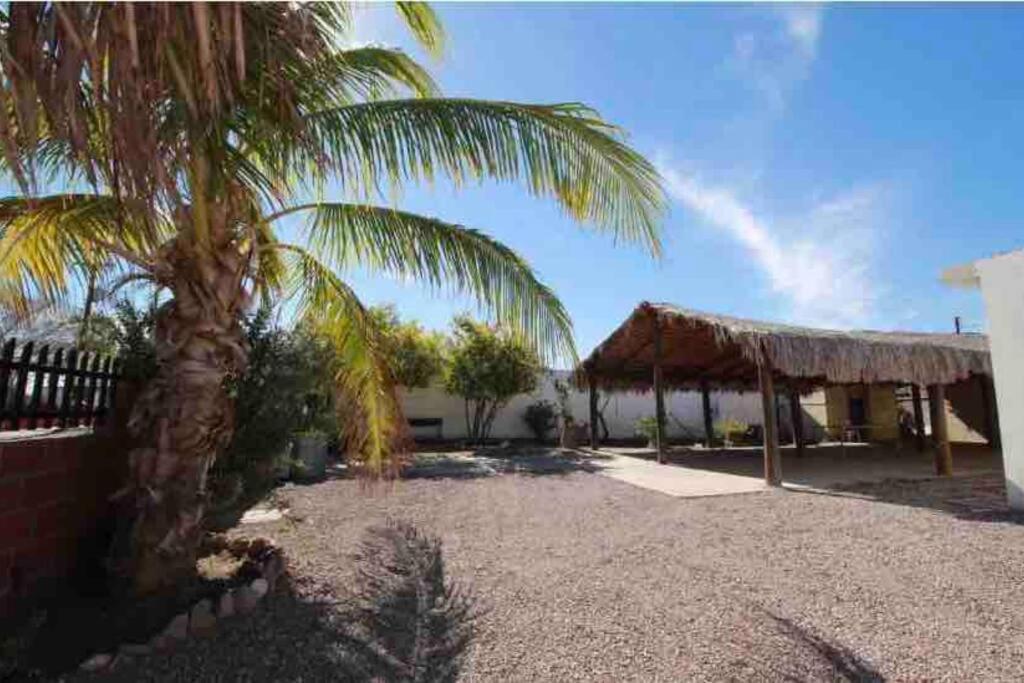 Departamento 'el Bello' En Palapa Ochoa *