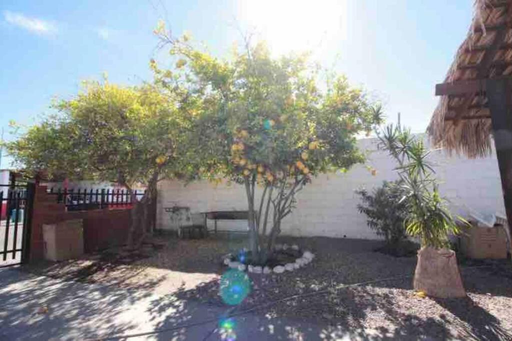 Departamento 'el Bello' En Palapa Ochoa Loreto (Baja California Sur)